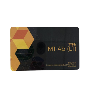 m1-4b-L1 chip printed card for icopy xs MOQ 100